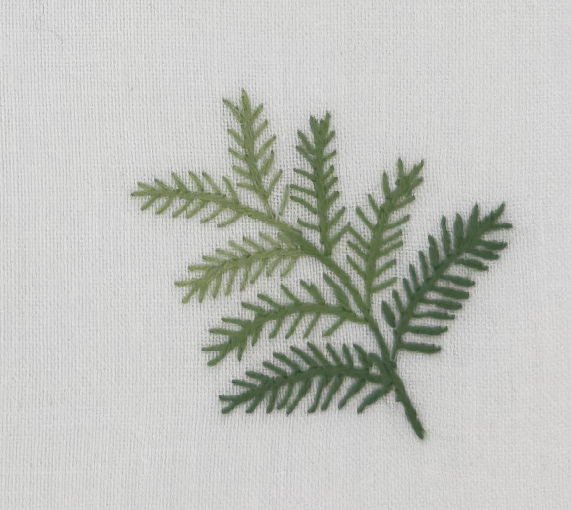 Fern Cocktail Napkins - Thumbnail 2